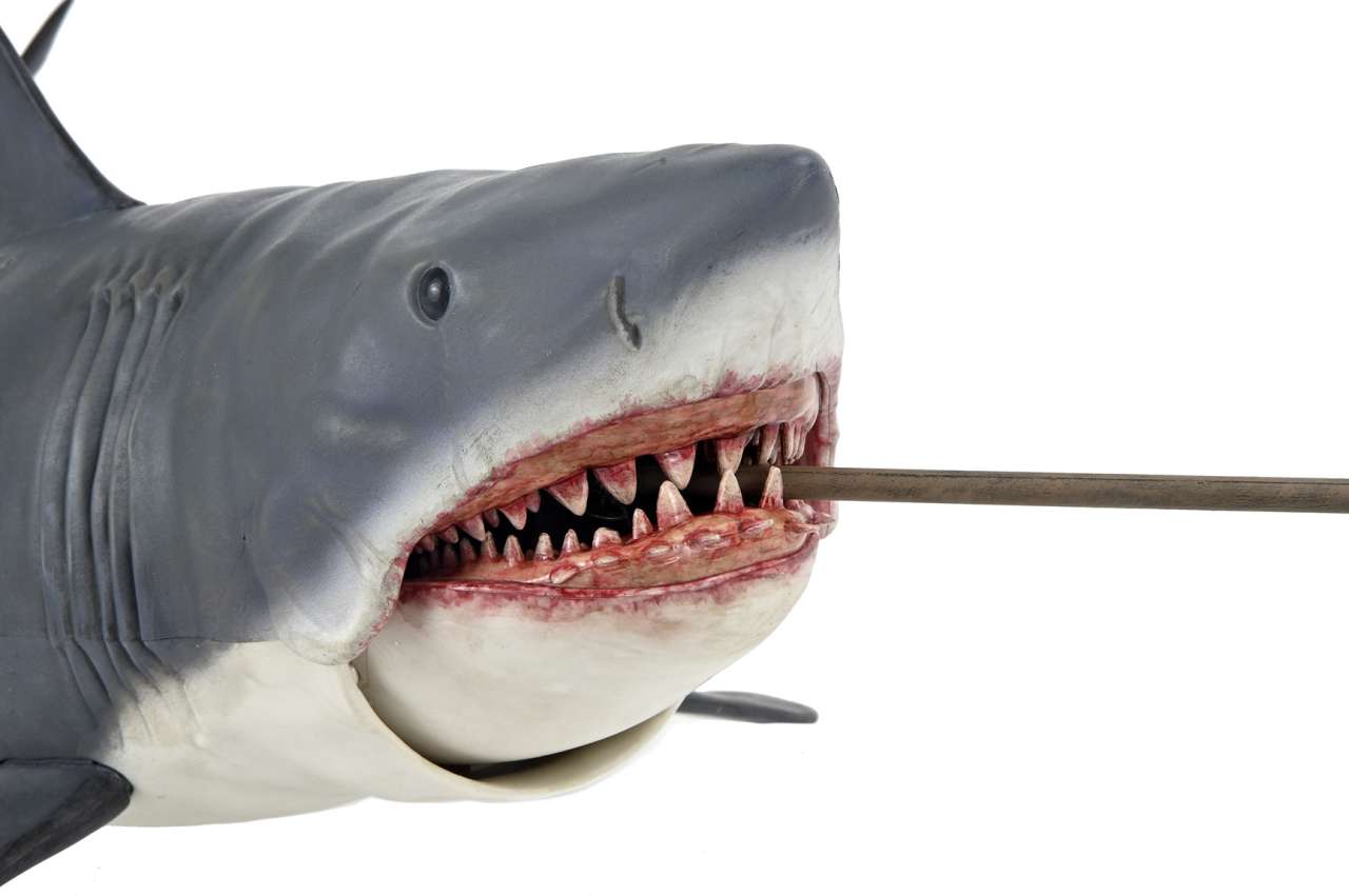 Jaws 50th Anniversary 12" Action Figure – NECA Bruce Collectible by LAB7 Malta, Europe