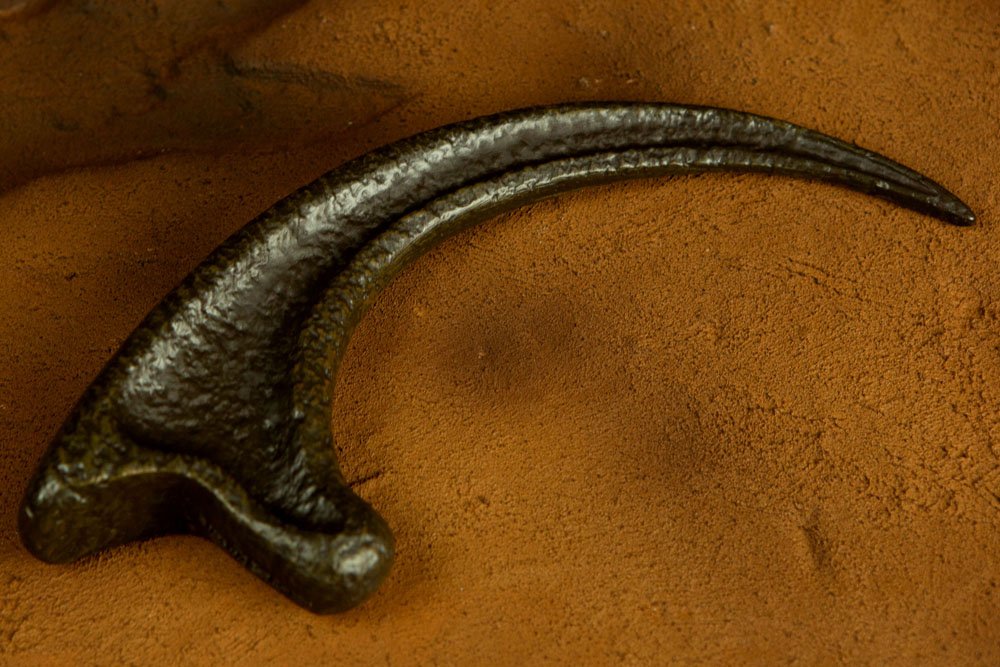 Jurassic Park Replica 1/1 Raptor Claw by LAB7 Malta, Europe