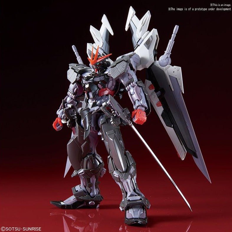 MG Gundam Astray Noir Hi Resol 1/100 by LAB7 Malta, Europe