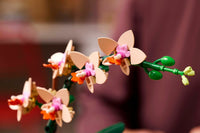 LEGO Botanicals Mini Orchid 10343 – 274-Piece Flower Building Set for Adults, 25cm