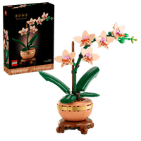 LEGO Botanicals Mini Orchid 10343 – 274-Piece Flower Building Set for Adults, 25cm