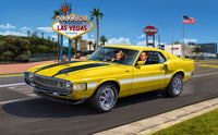 Revell '70 Shelby Mustang GT500 Model Kit (1:25 Scale)