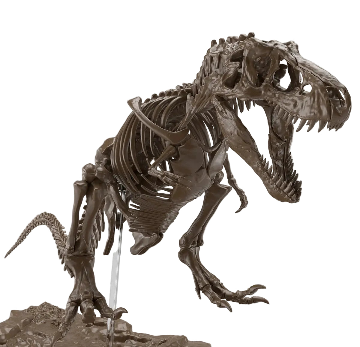 Bandai Imaginary Skeleton Tyrannosaurus 1/32 Model Kit