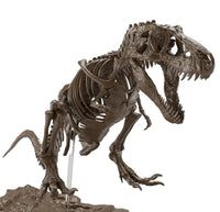 Bandai Imaginary Skeleton Tyrannosaurus 1/32 Model Kit