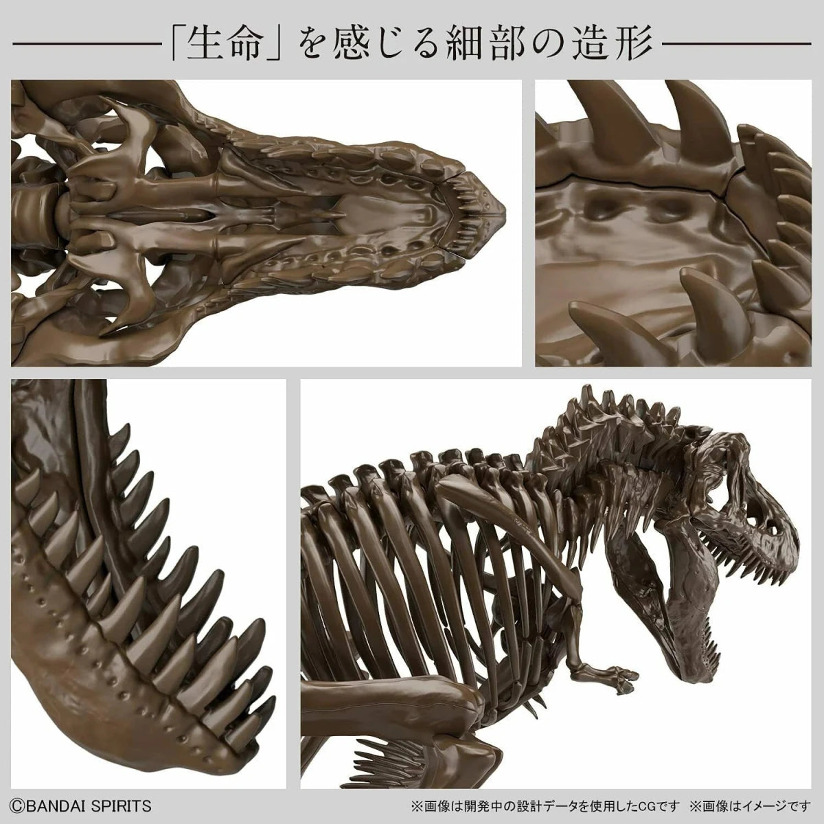 Imaginärer Skelett-Tyrannosaurus 1/32 Modellbausatz