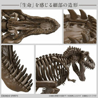 Imaginärer Skelett-Tyrannosaurus 1/32 Modellbausatz
