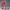 Bandai MG MS-06S ZAKU II Char Custom Ver. 2.0 1/100 in Malta | LAB7
