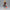 Banpresto Aza Chobe DXF 17cm Figure – Banpresto | Hell’s Paradise Collectible in Malta | LAB7