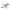 Banpresto DIGIMON ADVENTURES - Tailmon - Figure DXF-Adventures Archives 7cm in Malta | LAB7