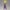 Banpresto DRAGON BALL Z - Son Gohan - Figure Clearise 15cm in Malta | LAB7