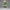 Banpresto DRAGON BALL Z - Son Gohan (Great Saiyaman) - Figure Clearise 18cm in Malta | LAB7
