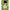 Dragon Ball Super: Masters Son Gohan, Important Role (Collector Booster Silver) (BT24 - 064) (Beyond Generations) by LAB7 Malta, Europe