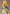 Good Smile Company The Rose of Versailles – Oscar François de Jarjayes Pop Up Parade Figure 19 cm by LAB7 Malta, Europe