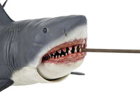 Jaws 50th Anniversary 12