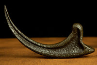 Jurassic Park Replica 1/1 Raptor Claw by LAB7 Malta, Europe