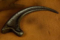 Jurassic Park Replica 1/1 Raptor Claw in Malta | LAB7