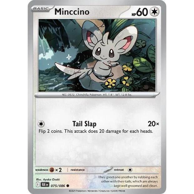 Pokemon Minccino (075/086) (SV: Black Bolt) by LAB7 Malta, Europe