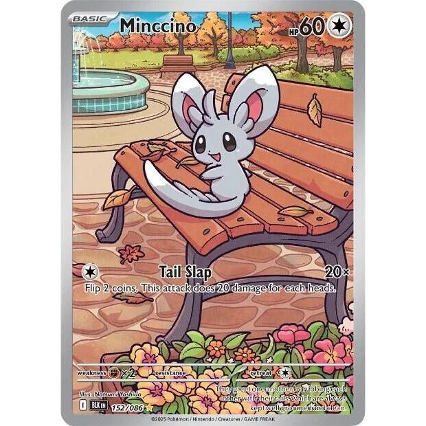 Minccino (152/086) (SV: Black Bolt) in Malta | LAB7