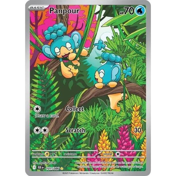 Pokemon Panpour (101/086) (SV: Black Bolt) by LAB7 Malta, Europe