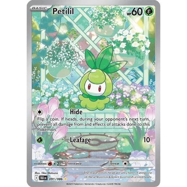 Petilil (091/086) (SV: Black Bolt) in Malta | LAB7