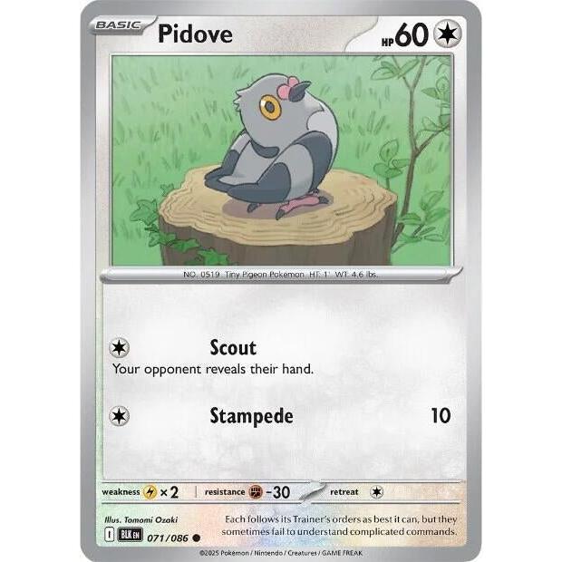 Pidove (071/086) (SV: Black Bolt) in Malta | LAB7