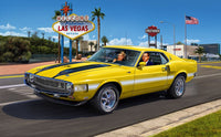 Revell '70 Shelby Mustang GT500 Model Kit (1:25 Scale)