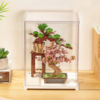 Rolife Clear Display Case Portrait M DF05L in Malta | LAB7