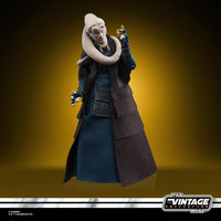 Hasbro Star Wars Episode VI Vintage Collection A/F 2022 Bib Fortuna by LAB7 Malta, Europe