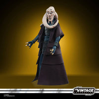 Hasbro Star Wars Episode VI Vintage Collection A/F 2022 Bib Fortuna by LAB7 Malta, Europe