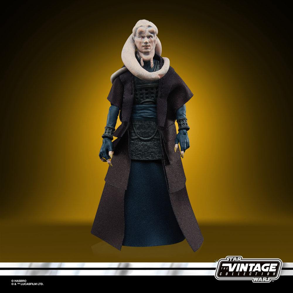 Hasbro Star Wars Episode VI Vintage Collection A/F 2022 Bib Fortuna by LAB7 Malta, Europe
