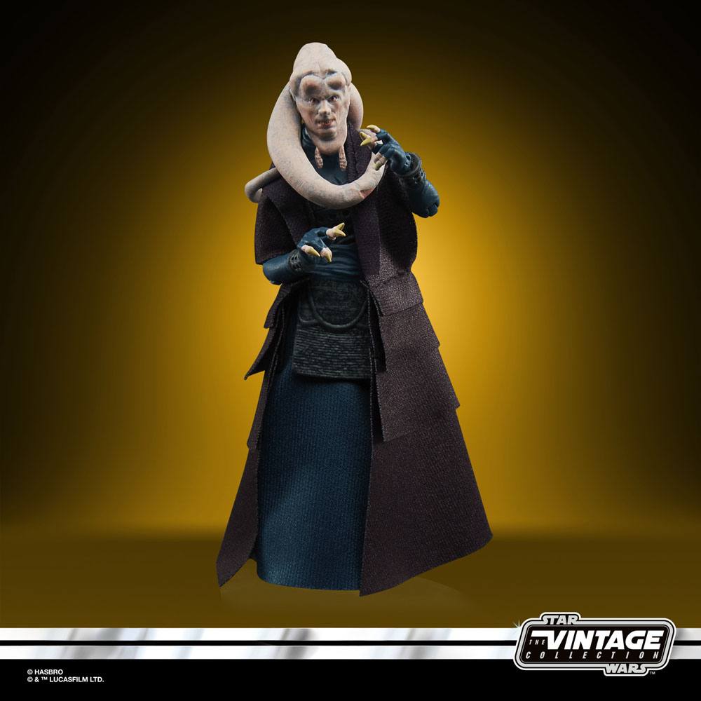 Hasbro Star Wars Episode VI Vintage Collection A/F 2022 Bib Fortuna by LAB7 Malta, Europe