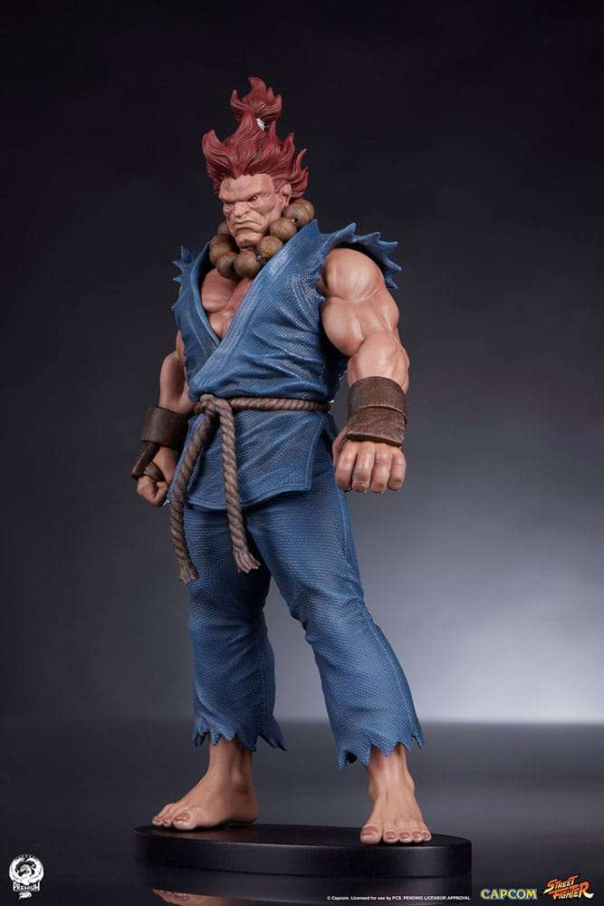 Street Fighter PVC Statues 1/10 Akuma & Dhalsim 21 cm by LAB7 Malta, Europe