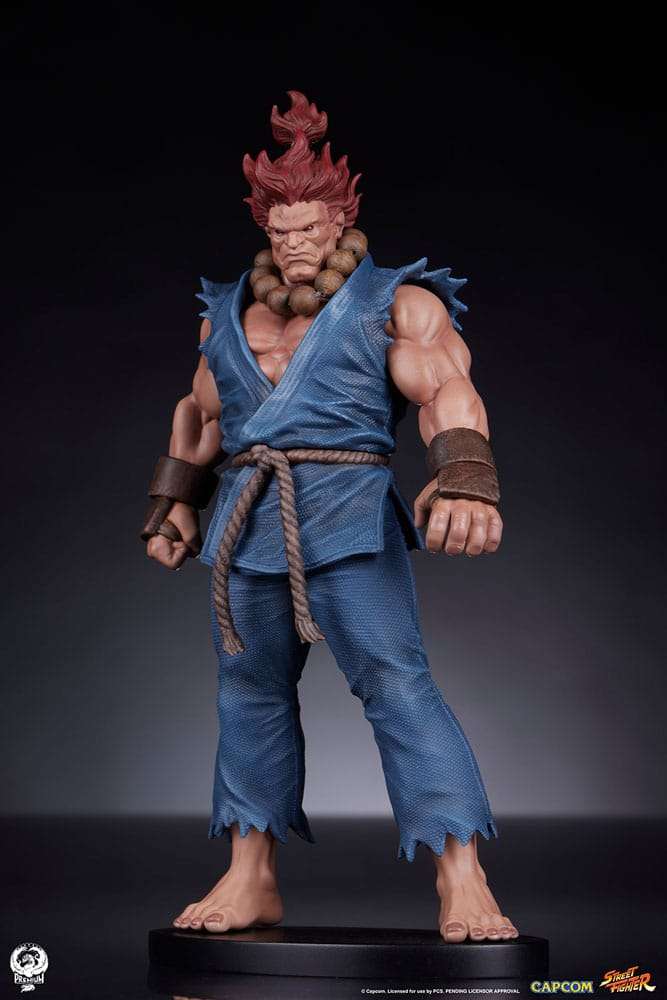 Street Fighter PVC Statues 1/10 Akuma & Dhalsim 21 cm by LAB7 Malta, Europe