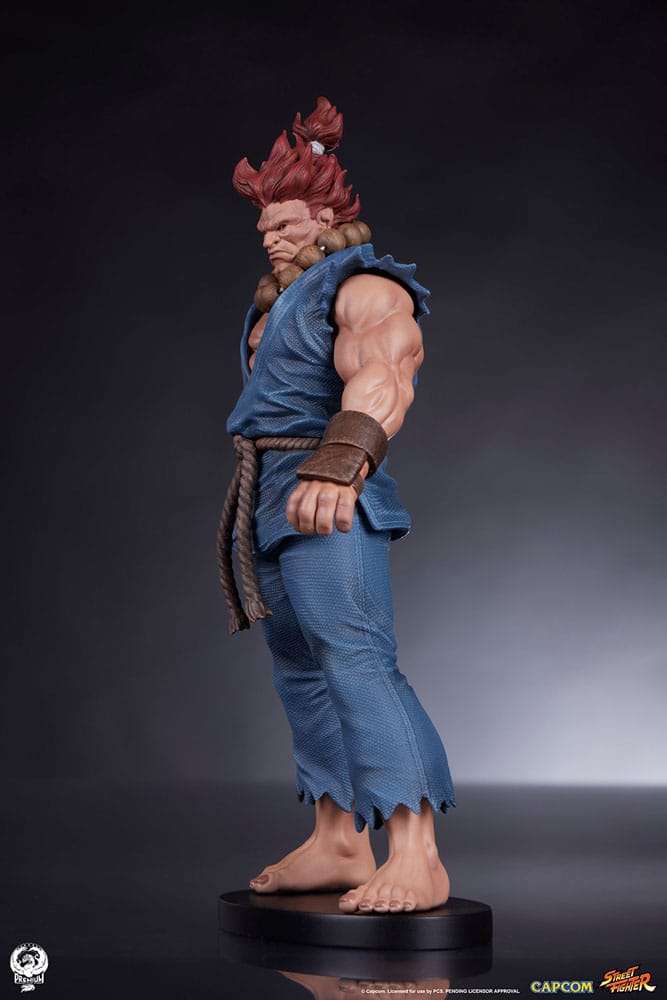 Street Fighter PVC Statues 1/10 Akuma & Dhalsim 21 cm by LAB7 Malta, Europe
