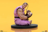 Street Fighter PVC Statues 1/10 Ryu & Dan 18 cm by LAB7 Malta, Europe