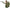 STTI SOCOM MK23 Airsoft Pistol with Suppressor (Green Gas Version) – STTi ST23 by LAB7 Malta, Europe