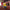 TUBBZ Minions Kevin Fart Blaster Cosplaying Duck Collectable in Malta | LAB7
