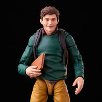 Hasbro Marvel Legends Spider-Man Homecoming Peter Parker & Ned Leeds 2-Pack 15cm